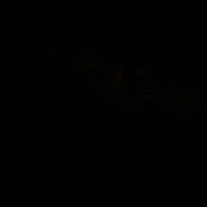 Meet your Posher, Devon